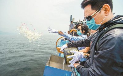 ​节约资源移风易俗 海葬树葬正被越来越多人接受？
