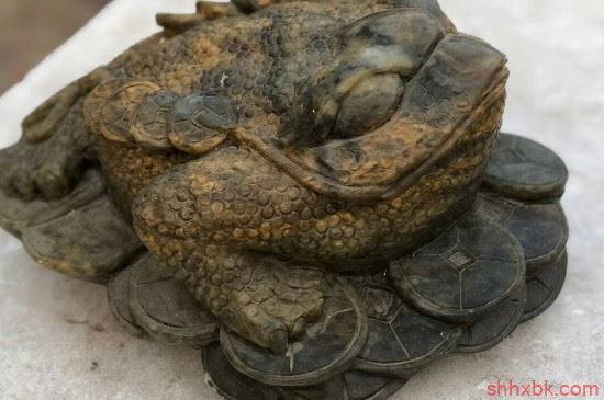 金蟾的寓意和象征