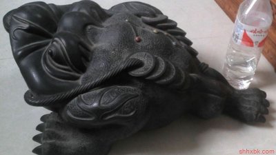 ​金蟾的寓意和象征 金蟾有什么说法