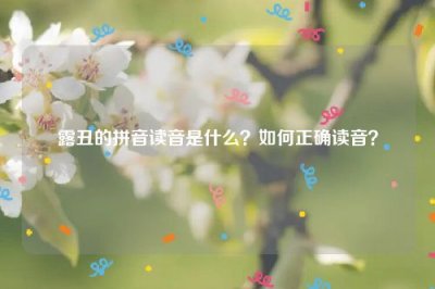 ​露丑的拼音读音是什么？如何正确读音？