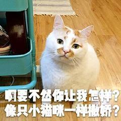 盘点那些超甜的电视剧，杨洋郑爽甜到爆，从头到尾无虐