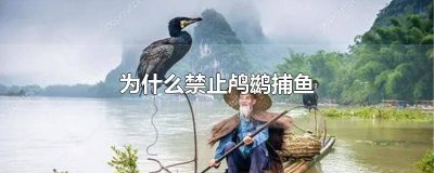 ​国家禁止鸬鹚捕鱼了吗最近 为何禁止鸬鹚捕鱼