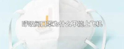 ​坐飞机为什么不能带有呼吸阀的口罩 为什么飞机不让带有呼吸阀的口罩