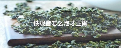 ​铁观音怎么泡才正确
