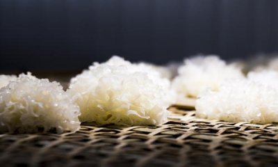 ​银耳泡发多久