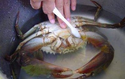 ​怎样蒸好吃的螃蟹