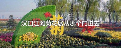 ​汉口江滩菊花展从哪个门进去