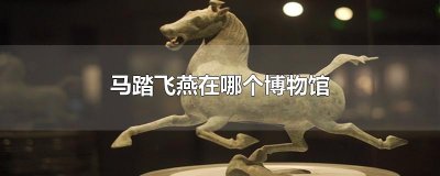 ​马踏飞燕在哪个博物馆