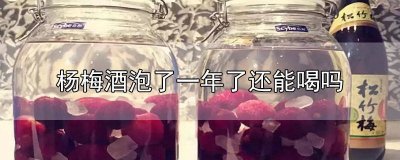 ​杨梅酒泡了一年可以喝吗 泡了一年半的杨梅酒还能喝吗