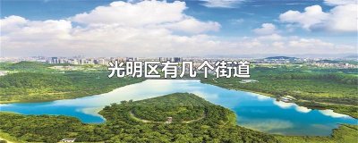 ​光明区有几个街道