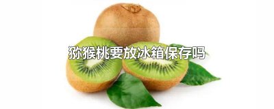 ​猕猴桃要放冰箱保存吗
