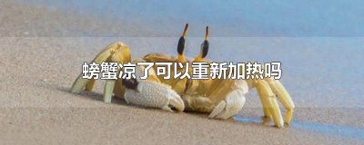 ​螃蟹凉了可以重新加热吗