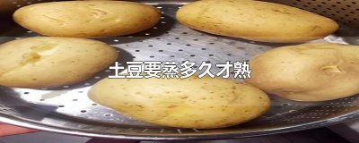 ​土豆要蒸多久才熟