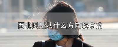 ​西北风是从什么方向吹来的