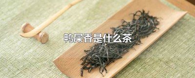 ​鸭屎香是红茶还是绿茶好 鸭屎香是什么茶绿茶吗?