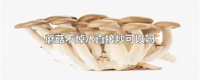 ​蘑菇不焯水直接炒可以吗窍门是什么 蘑菇不焯水直接炒可以吗窍门视频