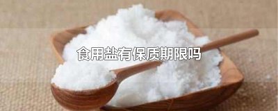 ​食用盐有保质期限吗