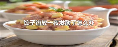 ​饺子馅放一夜发酸了怎么办