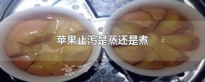 ​苹果止泻是蒸还是煮