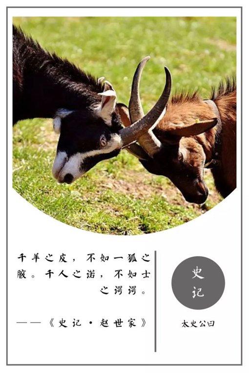 史记经典名言摘录