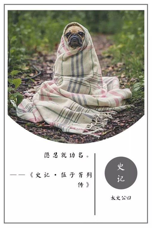 史记经典名言摘录