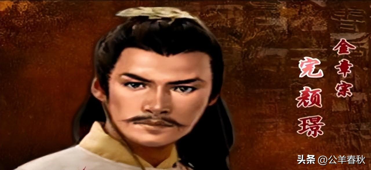 金国是哪个朝代(金国是怎么灭亡的)