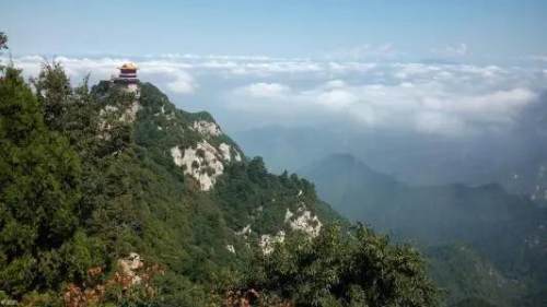 秦岭四宝是指什么(秦岭四宝是指哪四宝)