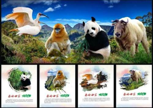 秦岭四宝是指什么(秦岭四宝是指哪四宝)