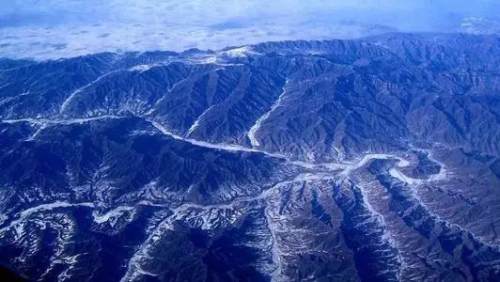 秦岭四宝是指什么(秦岭四宝是指哪四宝)