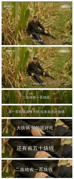 大衣哥朱之文为什么火了（大衣哥朱之文成名之路）(8)