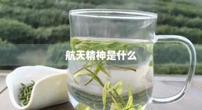 ​航天精神是什么(我国的航天精神是什么)