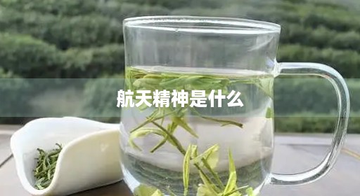 航天精神手抄载人是什么手抄