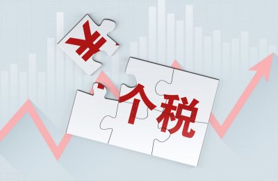 ​个人所得税补税不补会怎么样（个人所得税补缴不补会怎样）