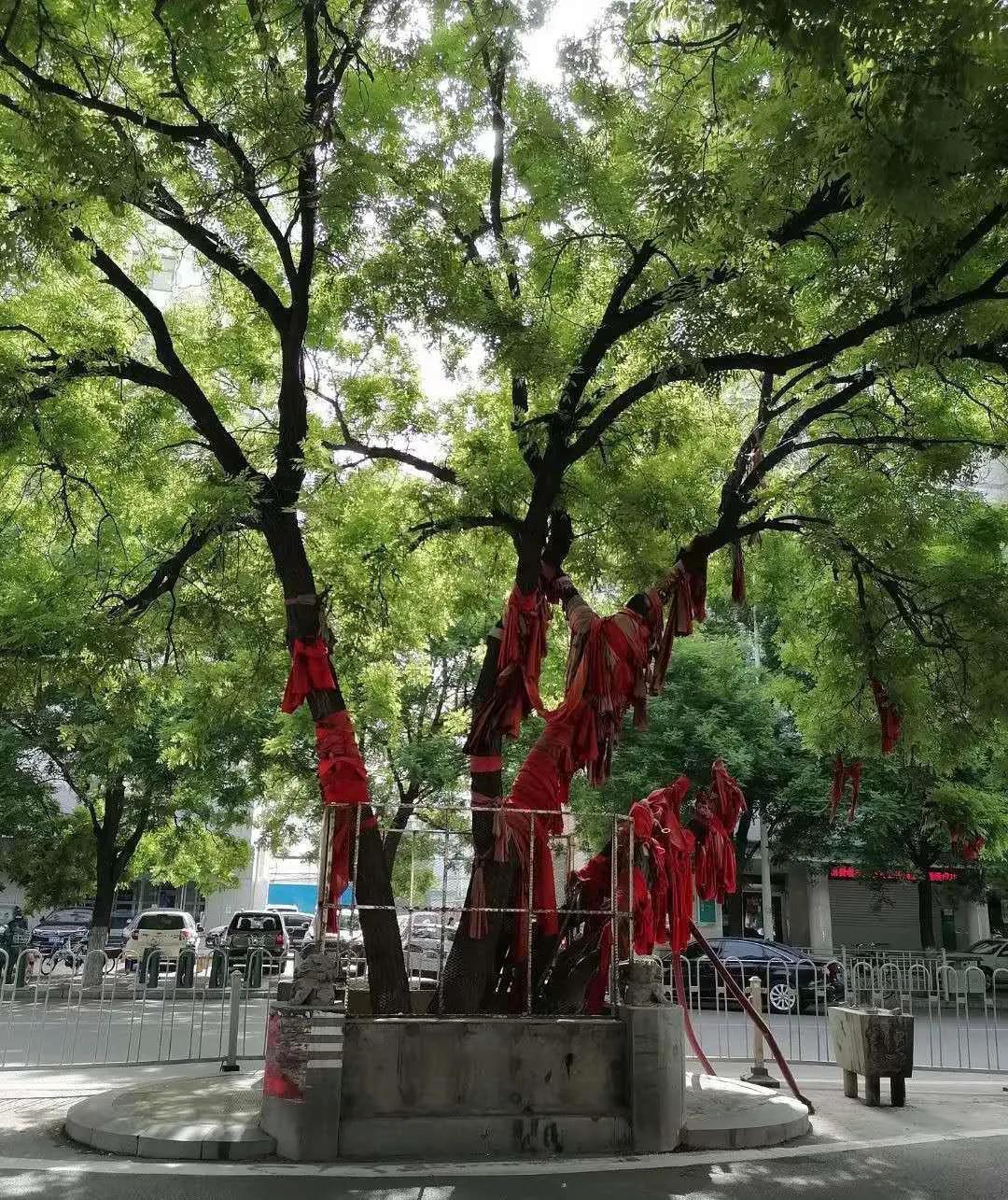 山东济宁十大景点你都去过吗?