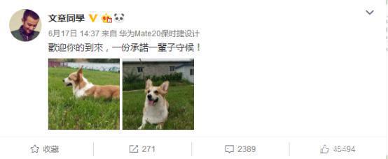 马伊琍姚笛文章怎么回事（周一见后抛弃姚笛）(20)