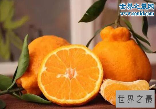 世界上最贵的水果,美国草莓阿诺140万美元一碗