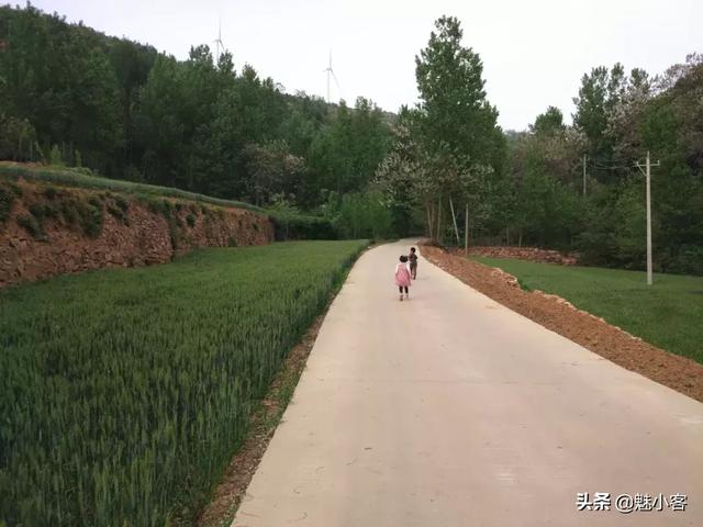 禹州十大旅游景点排名榜单(搜全了禹州市景区景点)(36)