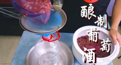​葡萄酒的多少天发酵(葡萄酒一般发酵多少天)