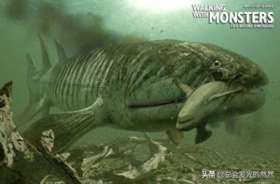 ​远古生物来袭，从寒武纪到恐龙时代！（二）