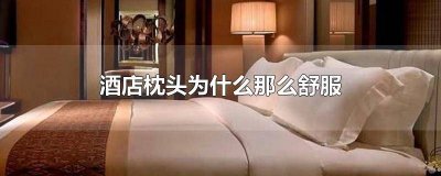 ​为什么酒店的枕头舒服一些 为什么酒店的枕头特别的舒服
