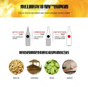 ​泰山原浆啤酒销售现状(泰山原浆啤酒的销售预测)