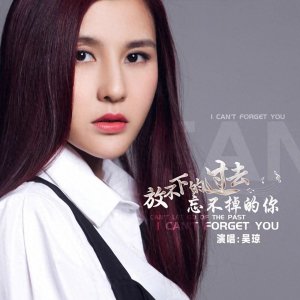 歌手吴琼单曲《放不下的过去忘不掉的你》全网上线 好评如潮