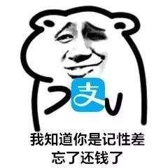 粉色卫衣戴什么项链（五粮液耳环是什么梗）(17)