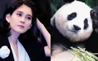 ​可爱的福宝！墩邦！女明星爱宝乐园韩国