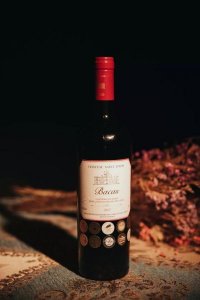 ​圣路易斯干红(圣路易斯干红葡萄酒多少一瓶)