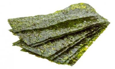 ​什么是海苔（关于海苔的简介）
