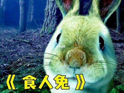 ​巨型食人兔真的存在吗（巨型食人兔长什么样子）