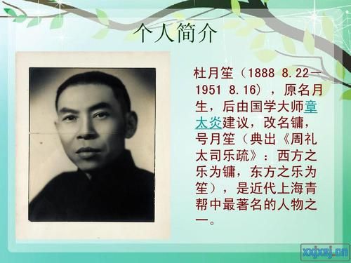 杜月笙简介的后人现在(上海杜月笙简介)-第1张图片-