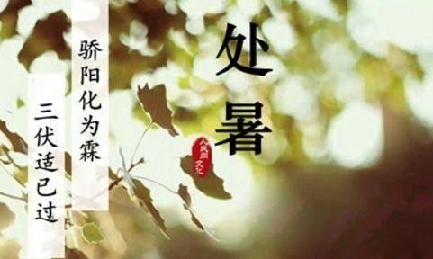 立秋是秋天了吗，立秋以后是不是代表秋天来了，庄稼可以收获了？图4