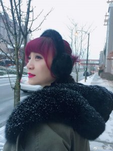 ​朱桦个人资料老公朱桦和费翔为什么分手